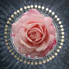 10 Inspirationen mit Malerei und Rosen 10 2021