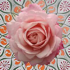 15 Inspirationen mit Malerei und Rosen 15 2021
